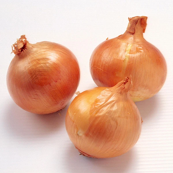 Čerstvé organické 20 kg balenie žltá cibuľa
